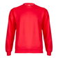 Eco Sweatshirt